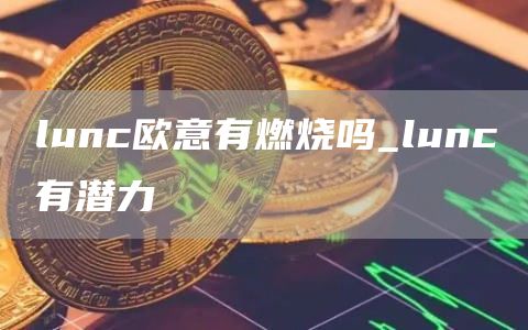 luncbinance有燃烧吗_lunc有潜力